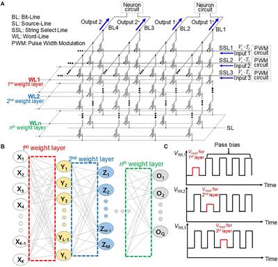 Neuromorphic Computing Using NAND Flash Memory Architecture With Pulse Width Modulation Scheme